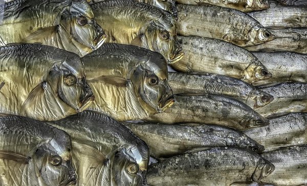 L'impact des gènes sur la régulation du poids : une exploration approfondie